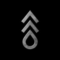 Flash Forest logo